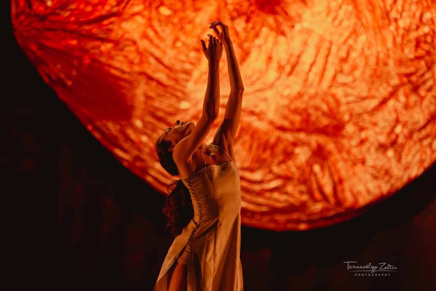 szkb-nt-carmina_burana_mupa_2018-0086_vizjeles
